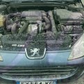 PEUGEOT 407 1.6 HDI 16V 110CH VENTE PI7CE DETACHEES OCCASION MOTEUR 9HZ