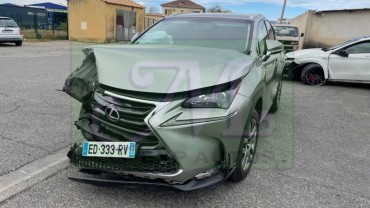 NX 300H 4WD BV E-CVT PACK