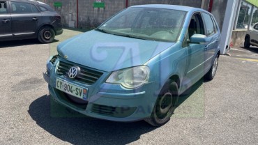 POLO IV