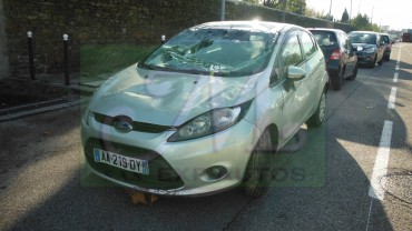 FIESTA VI 1.4 TDCI