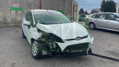 FIESTA VI