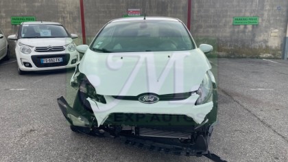 FIESTA VI