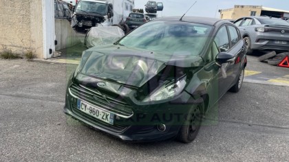 FIESTA VI