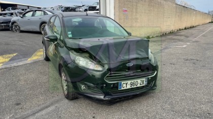 FIESTA VI