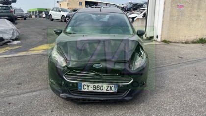FIESTA VI
