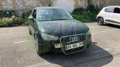 A1 
