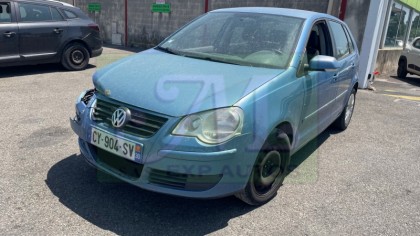 POLO IV